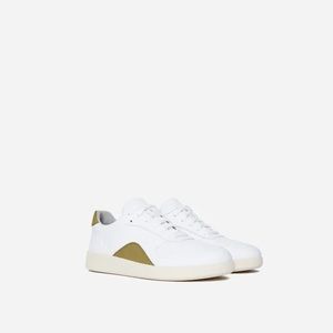 Everlane Court Sneaker in White / Green